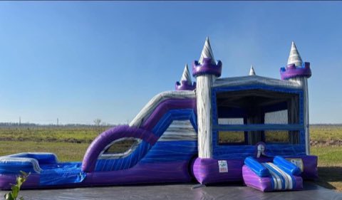 Purple Marble Bounce House Combo rental