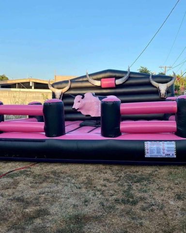 Pink Black Mechanical Bull rental