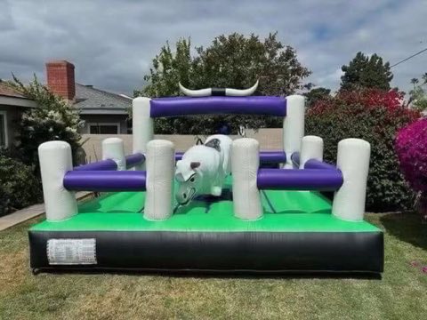 Purple Green Mechanical Bull rental