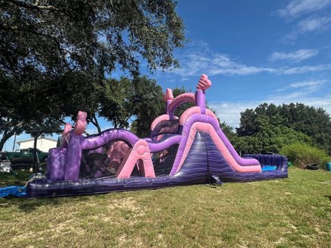 Purple Marble Obstacle Course rental
