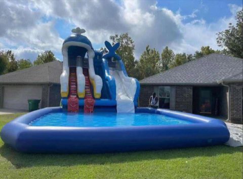 Blue Whale Waterslide rental