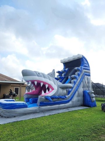 Shark Waterslide rental